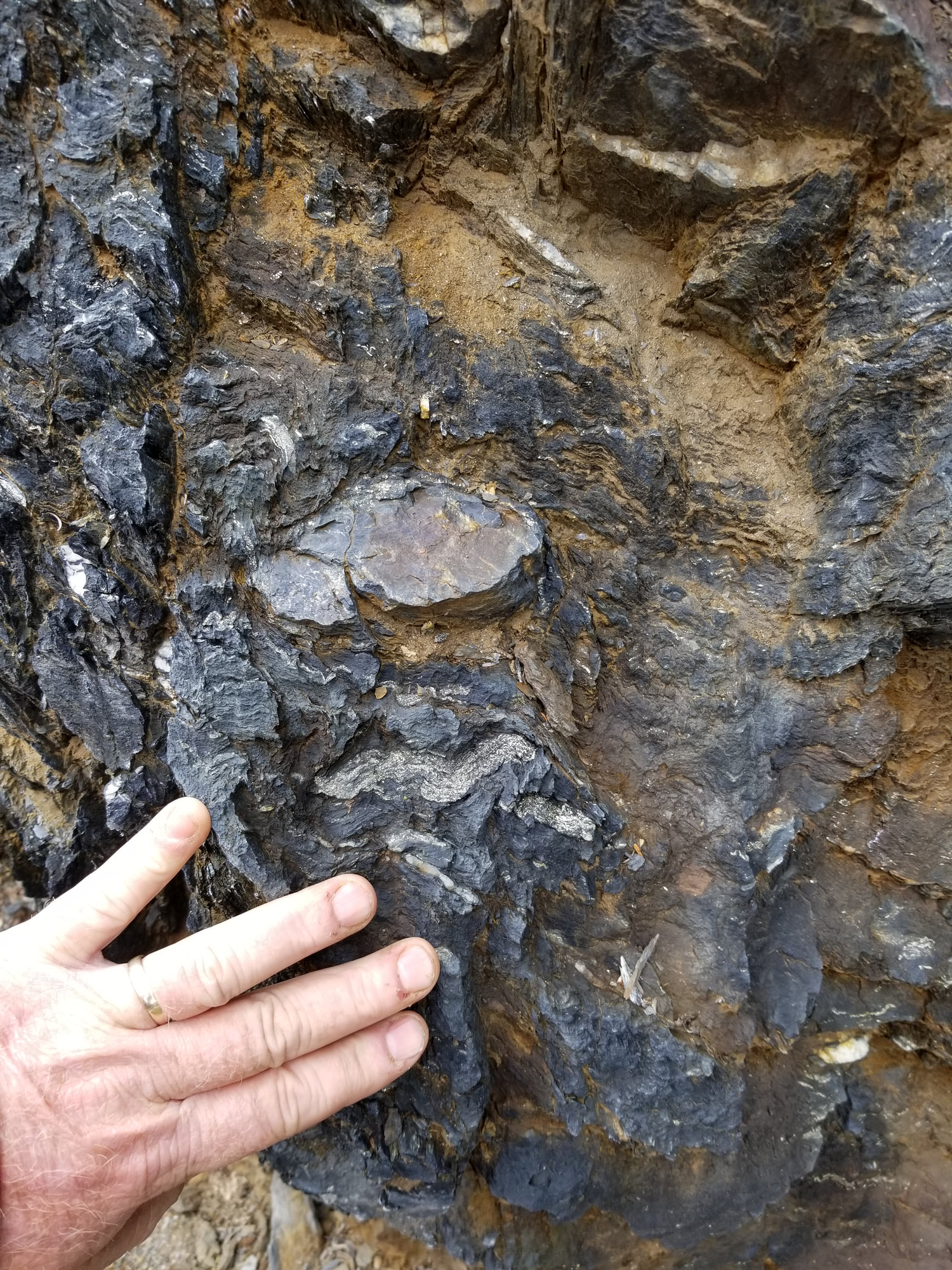 Taranis Resources Inc.